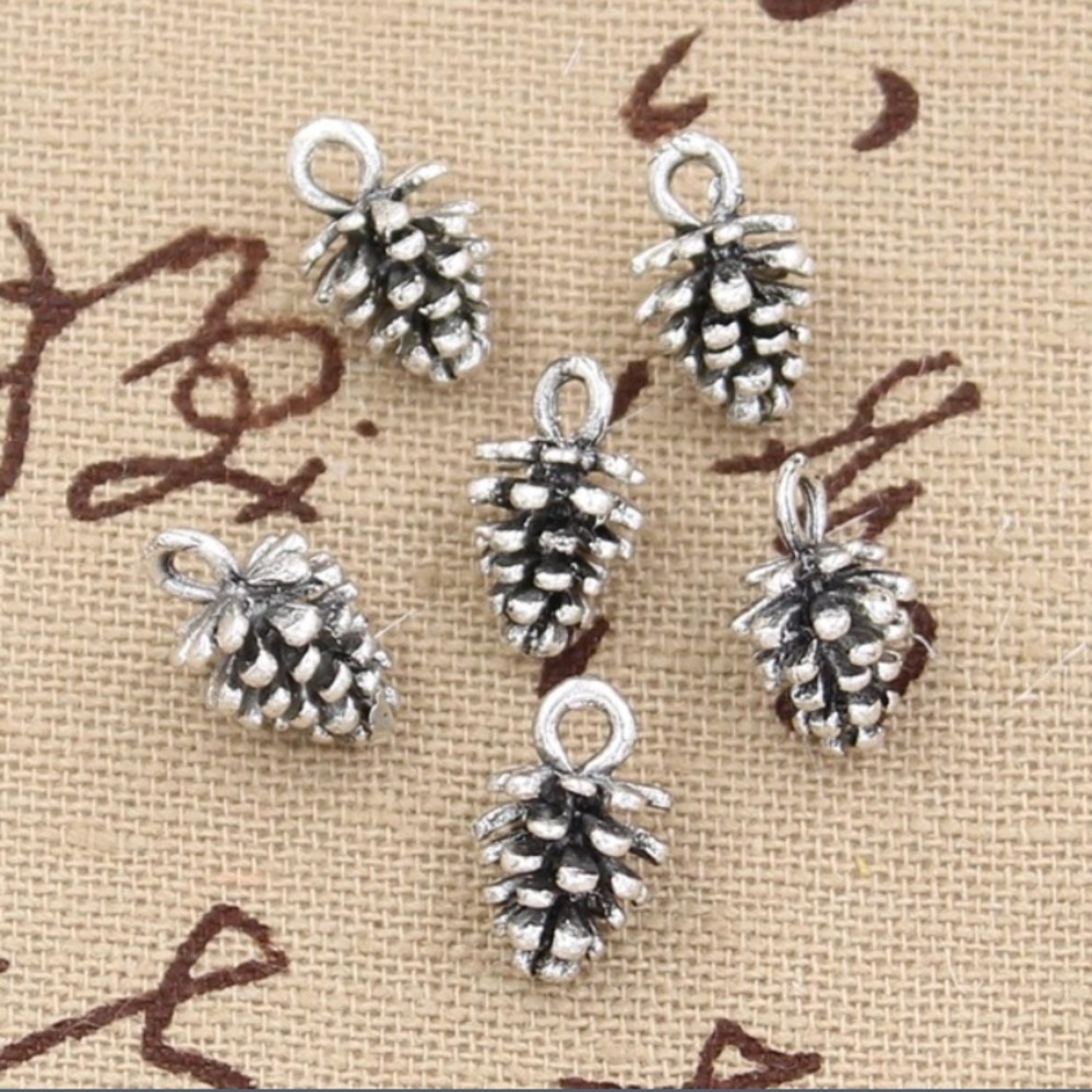 3/$30 Pine cone charm just arrived!